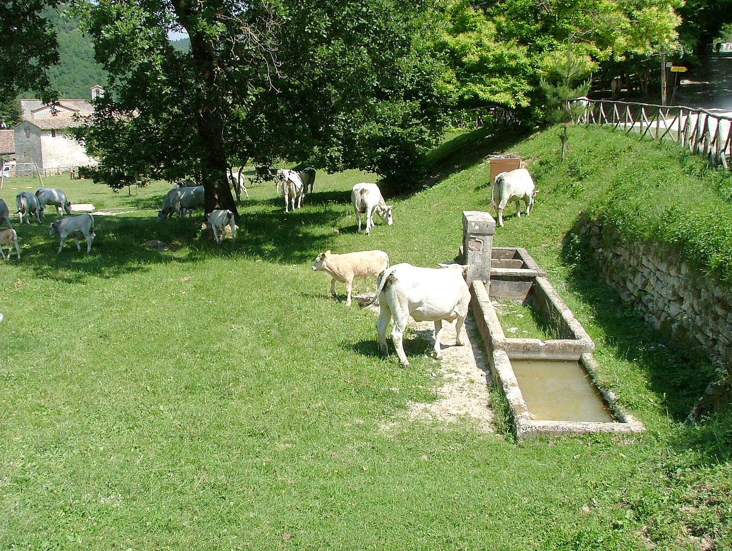 Agriturismo Abbazia di San Salvatore in Valdicastro — Perugia